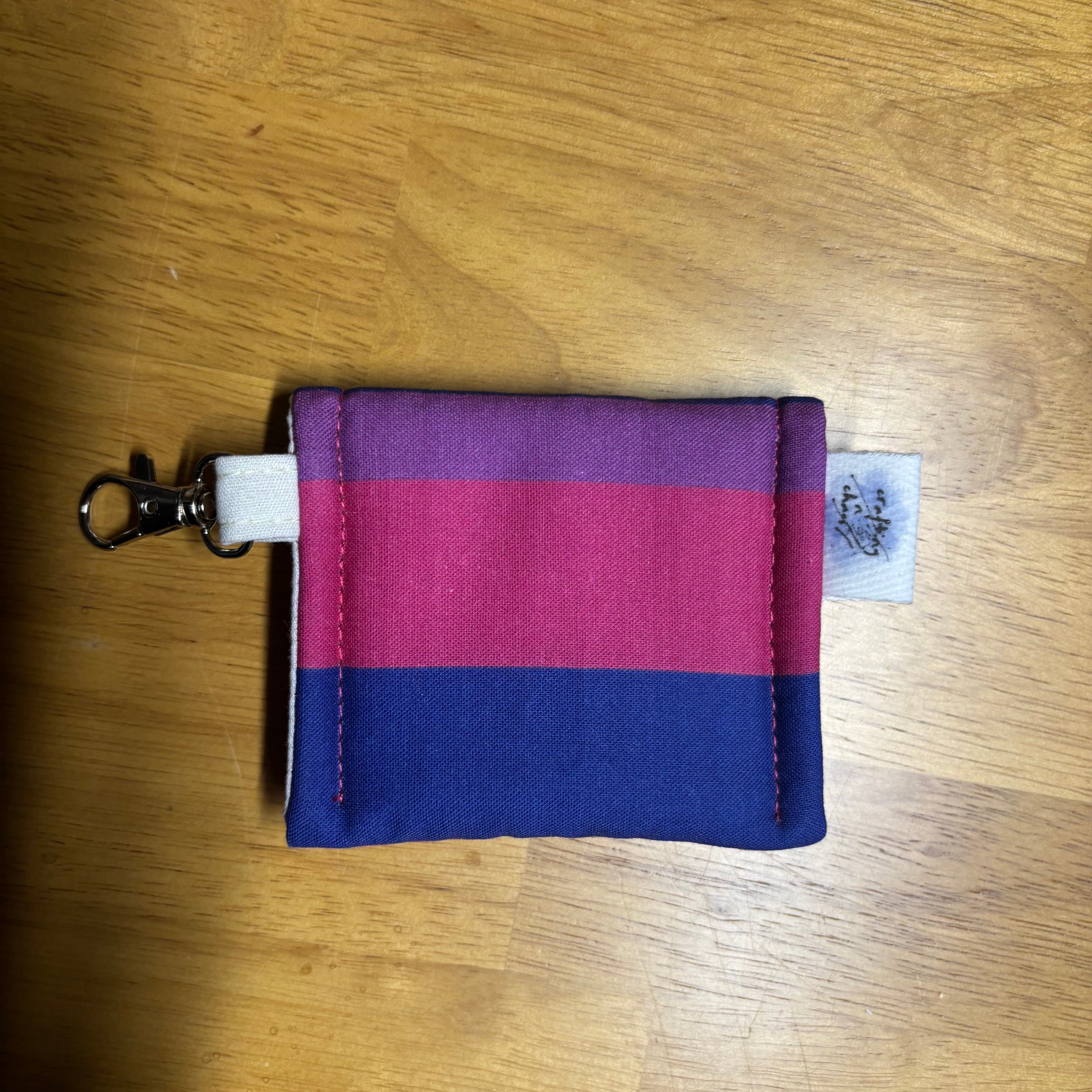 pride earbud cases