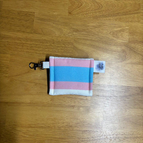pride earbud cases