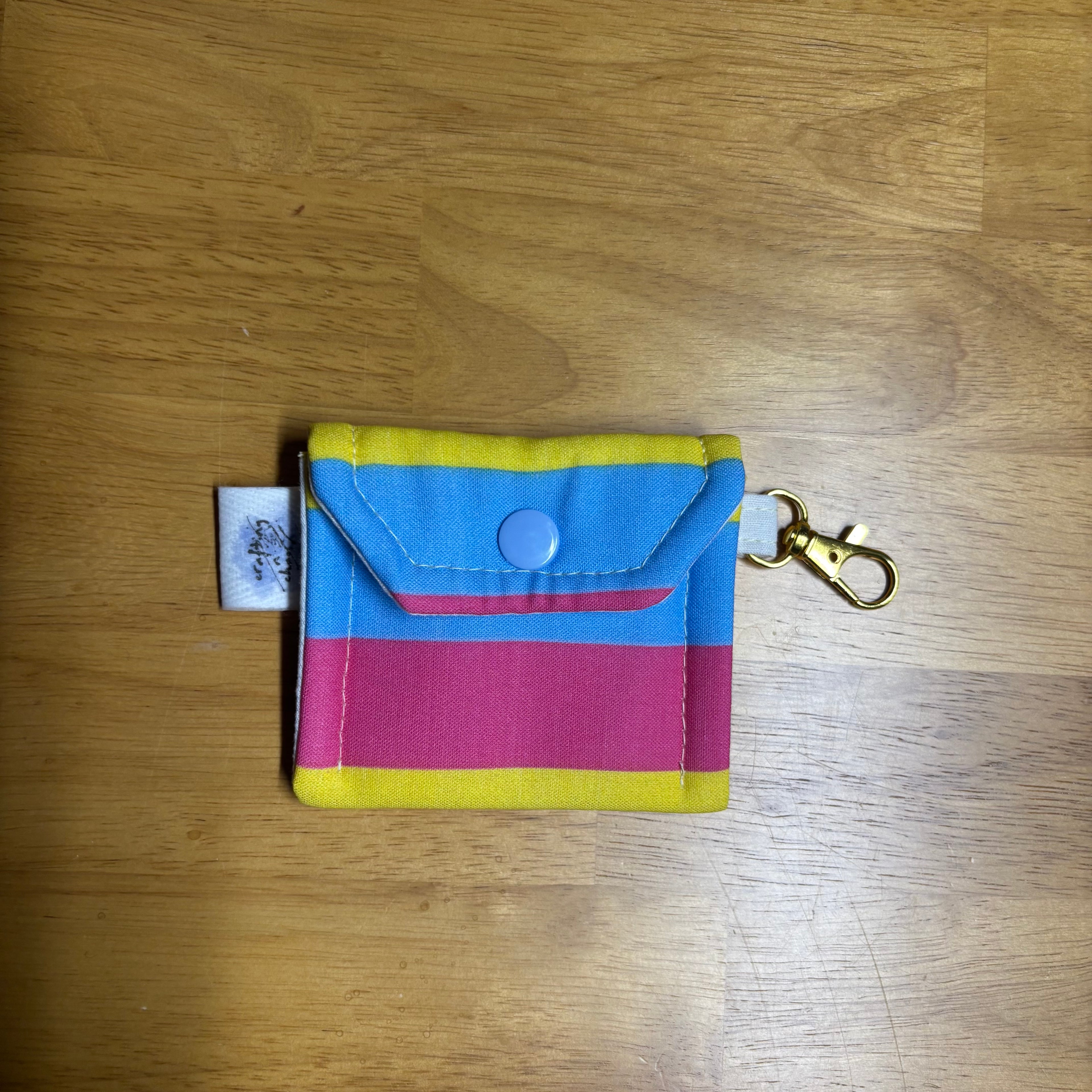 pride earbud cases